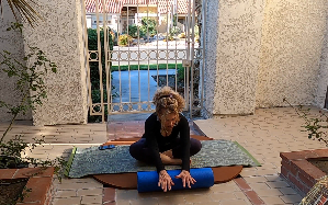 Wednesday Stretch: 11-26-25